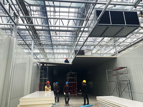 科技赋能农业新愿景 生物化工技术引领的草莓植物工厂，开启全年“草莓自由”时代