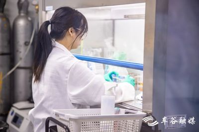 全省唯一！湖北普林检测打造化妆品与生物化工产品“一站式”研发新标杆