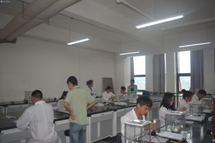 轻工化工系工业分析与检验技能大赛决赛圆满落幕，展现生物化工产品技术研发新风采