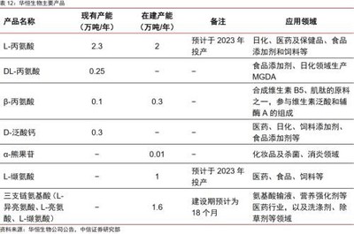 合成生物乘势而起，颠覆传统引领未来，行业龙头将迎戴维斯双击