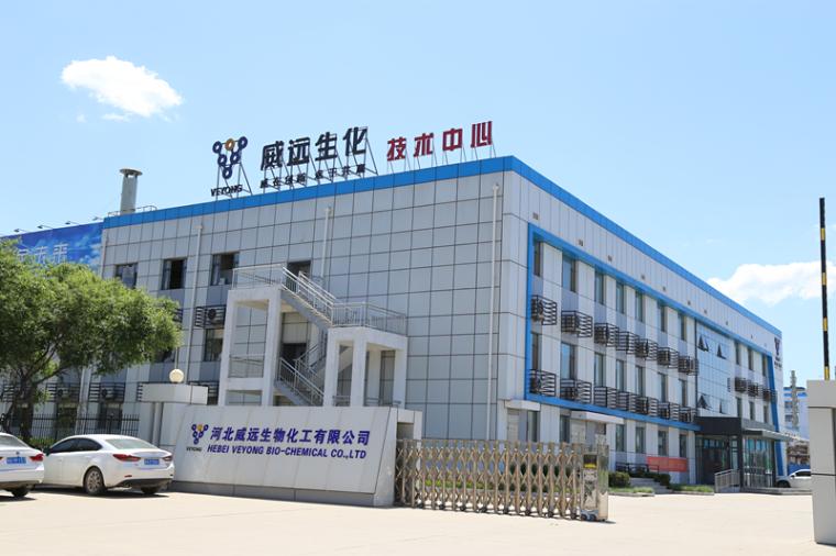 科技创新助力集团研发能力快速成长